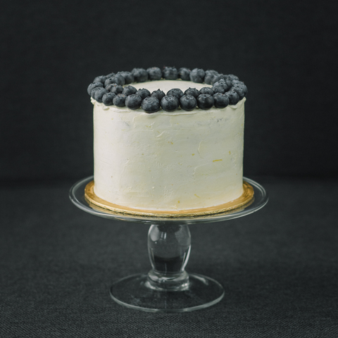 Blueberry Zuchie 6 inch